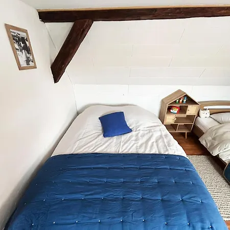 Maison Familiale Alsacienne Au Centre Nyaraló