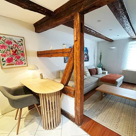 Maison Familiale Alsacienne Au Centre * Obernai