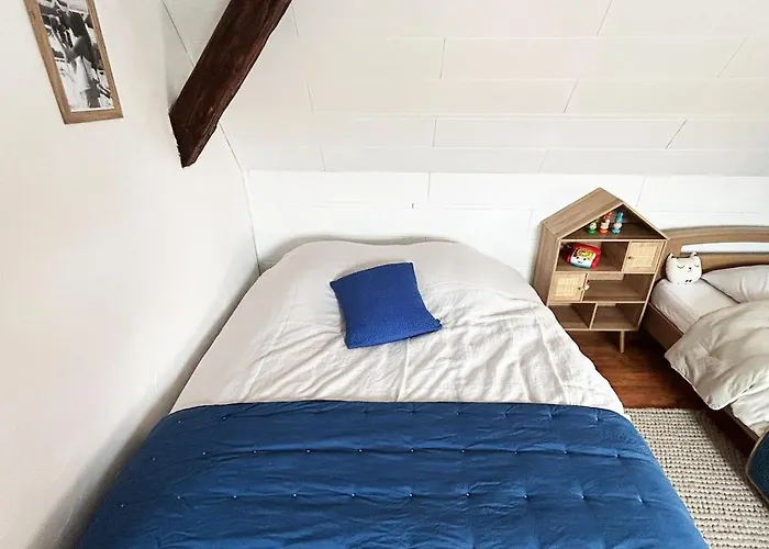 Maison Familiale Alsacienne Au Centre 度假居