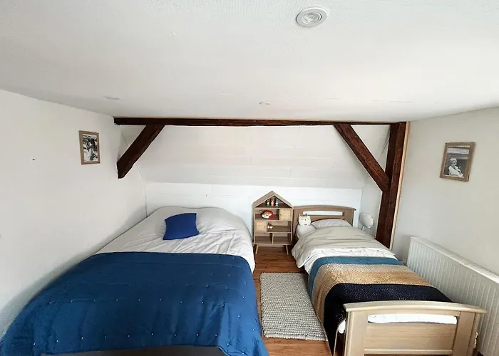 Maison Familiale Alsacienne Au Centre Obernai