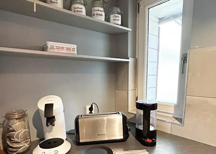 Maison Familiale Alsacienne Au Centre *